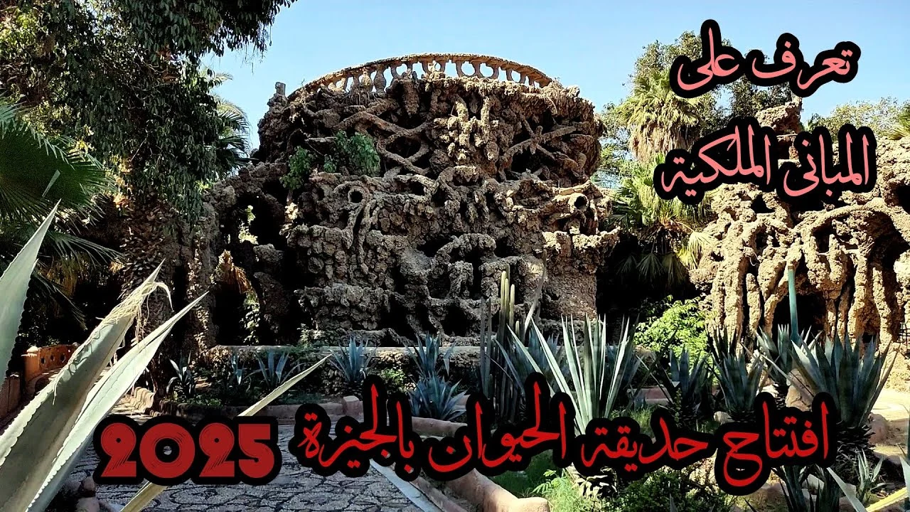 قريبًا.. موعد افتتاح حديقة الحيوان بمصر في عام 2026 وأسعار تذاكر الدخول لمختلف الزائرين